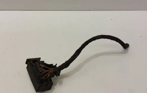 Other wiring loom