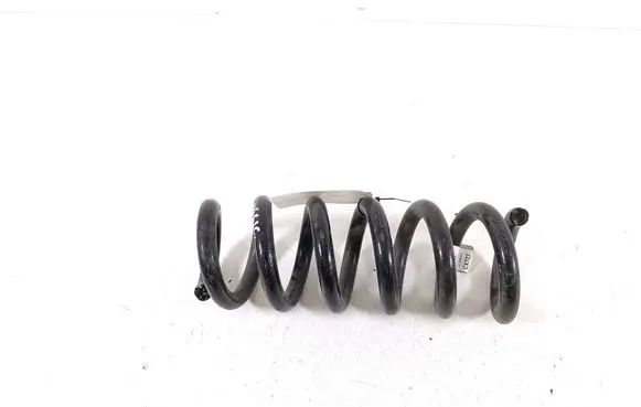 Rear coil spring