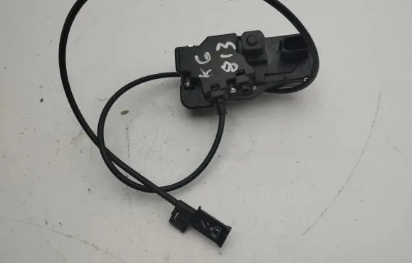 Tesla Model S Rear door lock 600891100D