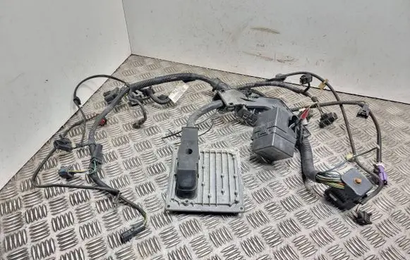 Ford Fiesta Engine control unit/module 4S6112A650JB S118763005B 5DAE