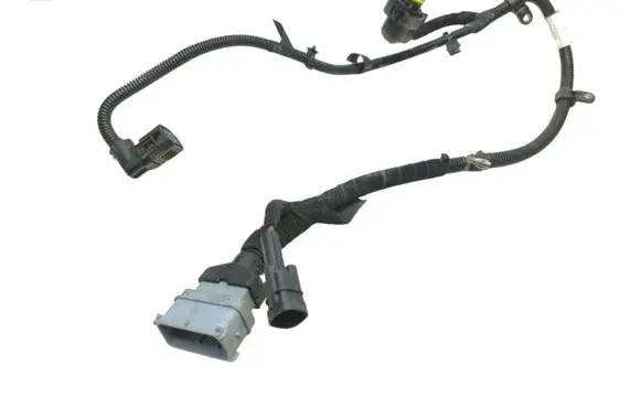 Other wiring loom