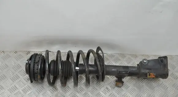 Chrysler Town & Country V Front shock absorber/damper