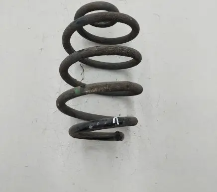 Nissan Leaf II (ZE1) Rear coil spring