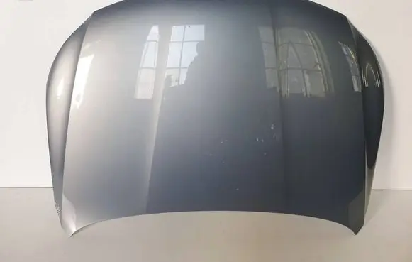 Engine bonnet/hood