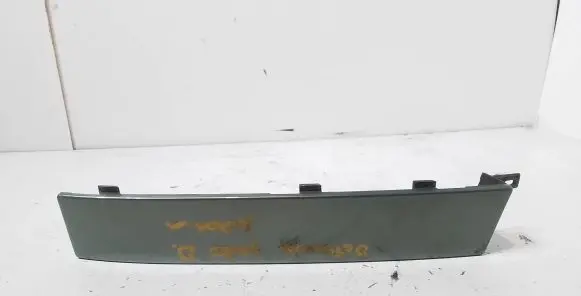 Rear/tail light trim molding