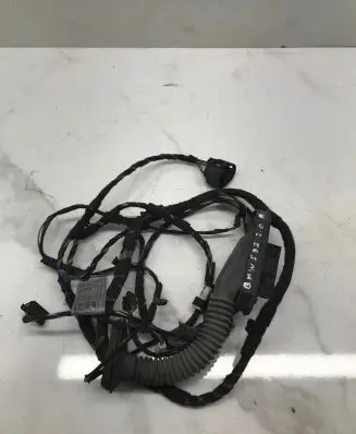 BMW 3 E92 E93 Rear door wiring loom 6925542