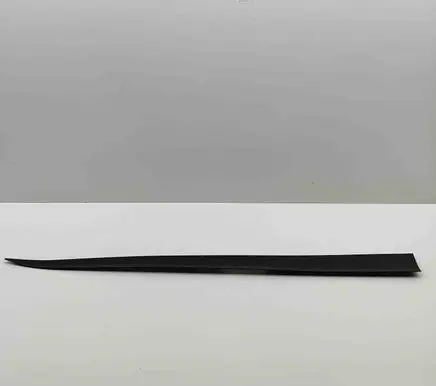 Audi E-tron GT Front door trim (molding) 4J3853960