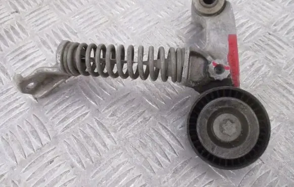Peugeot Partner III Timing belt/chain tensioner A6512000570