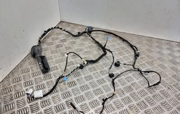 BMW X1 F48 F49 Front door wiring loom 9384564 148F491M13 19344411
