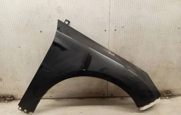 Ford Focus Fender