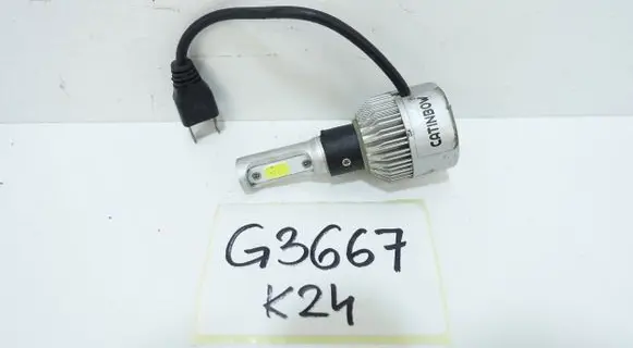 Ford Focus Fog light bulb CATINBOW