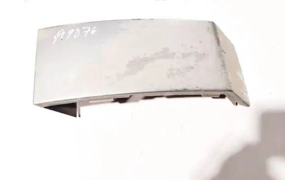 Rear/tail light trim molding