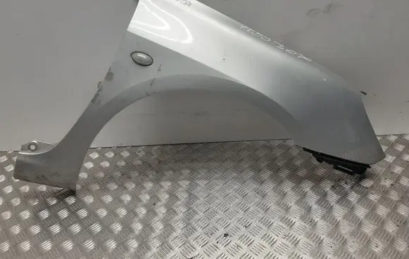 Peugeot 307 Fender