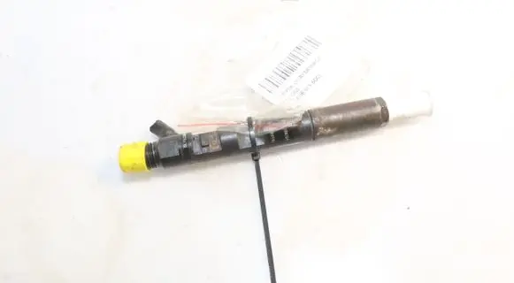 Renault Megane III Fuel injector