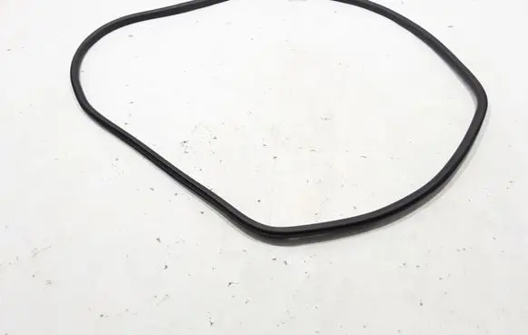 Renault Espace V (RFC) Rear door rubber seal (on body) 769231867R