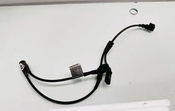 Other wiring loom