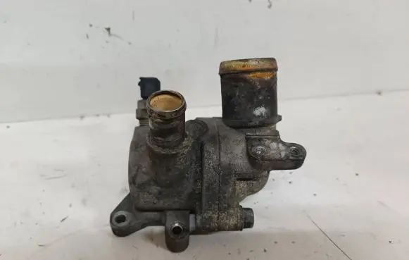 Thermostat/thermostat housing