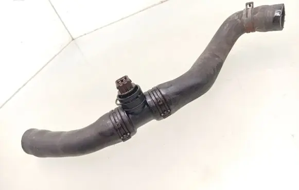 Volkswagen Sharan Engine coolant pipe/hose 