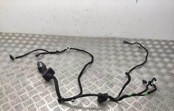 Rear door wiring loom