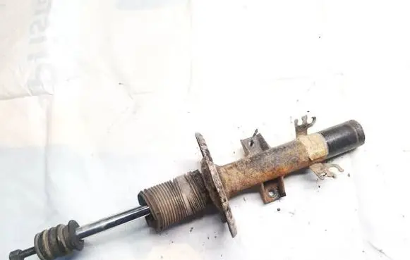Volkswagen Transporter - Caravelle T5 Front shock absorber/damper 313327