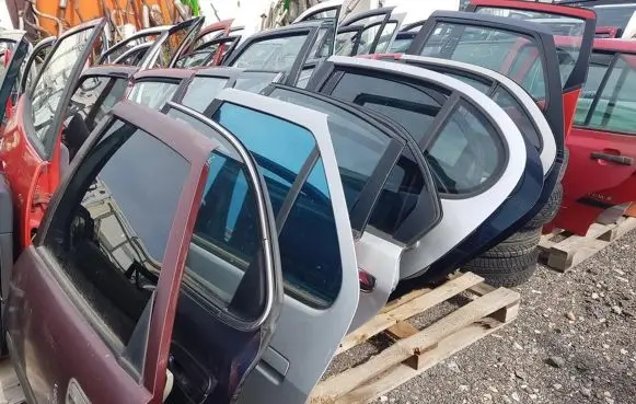 Renault Scenic I Rear door MELYNOS
