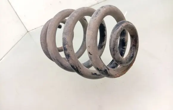 Rear coil spring