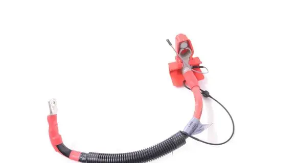 Positive wiring loom