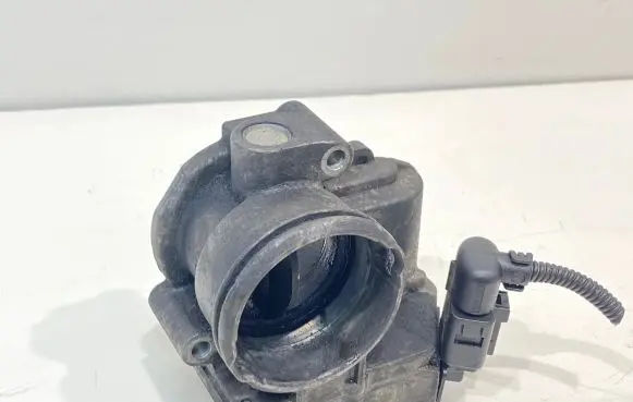 Skoda Roomster (5J) Throttle valve