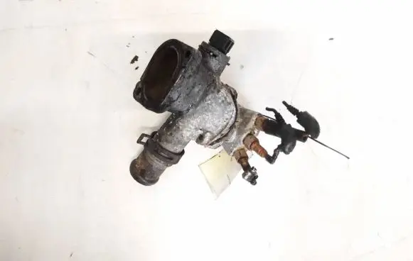 Volkswagen New Beetle Engine coolant pipe/hose