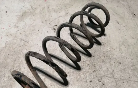 Rear coil spring