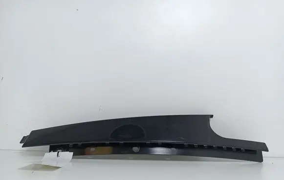 Other rear door trim element