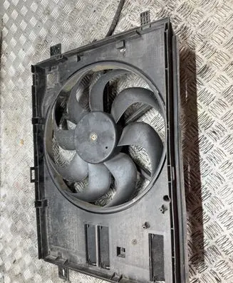 Citroen Jumpy Electric radiator cooling fan 9806313880