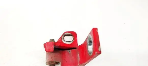 Rear door lower hinge