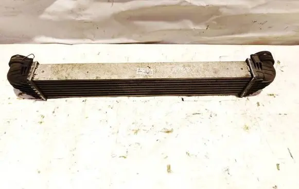 Mercedes-Benz B W245 Intercooler radiator A1695000000