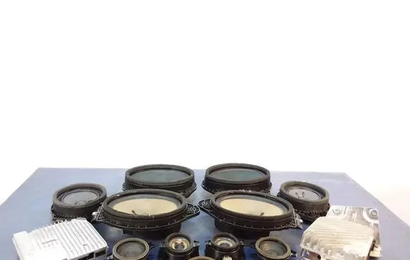 Cadillac CTS Subwoofer speaker 84254108