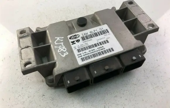 Peugeot 307 Other control units/modules 9650623180 K 1783