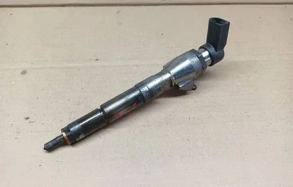Nissan Juke I F15 Fuel injector 8200704191