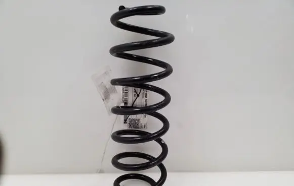 Volkswagen PASSAT B6 Rear coil spring