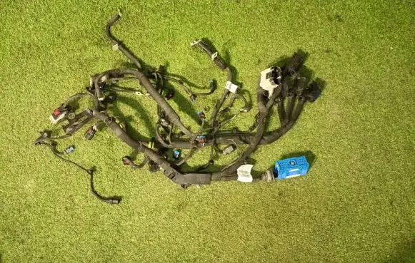 Engine installation wiring loom
