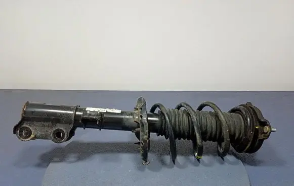 KIA Sportage Front shock absorber with coil spring 54650-F1550