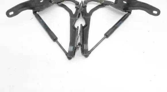 BMW Z4 E89 Tailgate/trunk/boot hinge 7191255