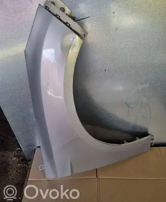 Ford Focus Fender 