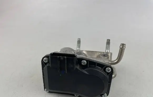 EGR valve