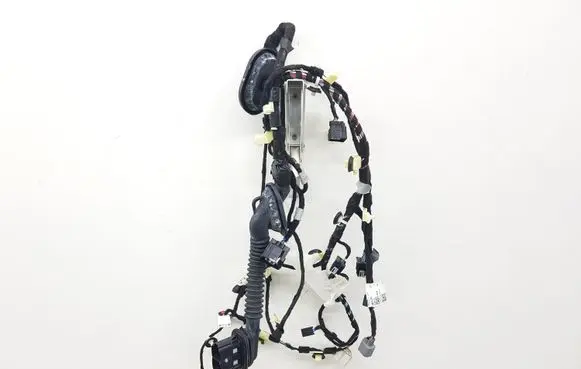 Ford F150 Front door wiring loom KL3T14631 07000596 KL3T14631DA