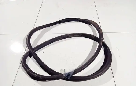 Opel Insignia A Rubber seal front coupe door 