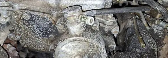 Nissan Almera Tino Vacuum pump a40402