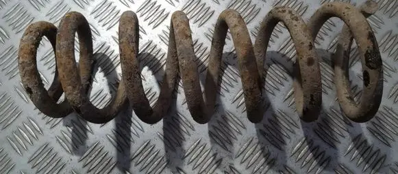 Peugeot 406 Rear coil spring