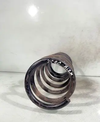 Rear coil spring