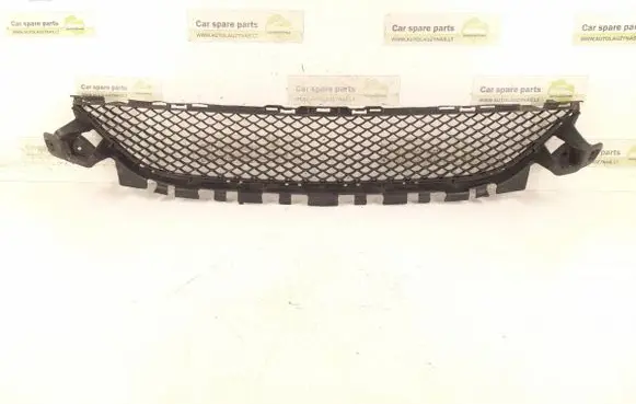 Front bumper lower grill