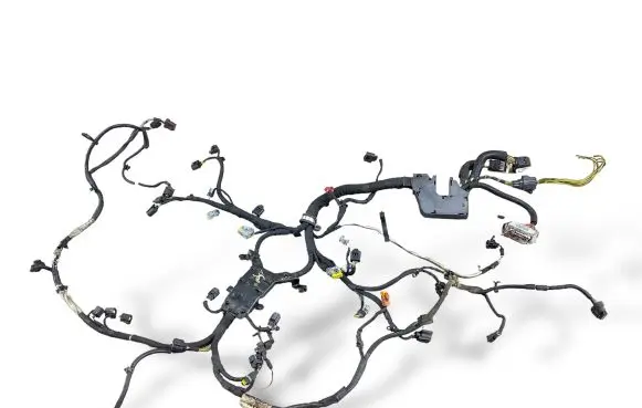 Land Rover Range Rover Sport L320 Engine installation wiring loom 6H3Q9H589AH 71374000